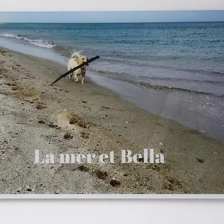 La Mer Et Bella